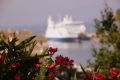 2010 07 05 jeanmarcperfetti.com 086.JPG